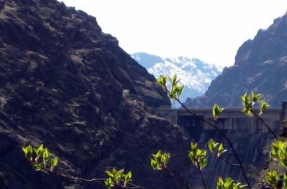 A historical bathtub